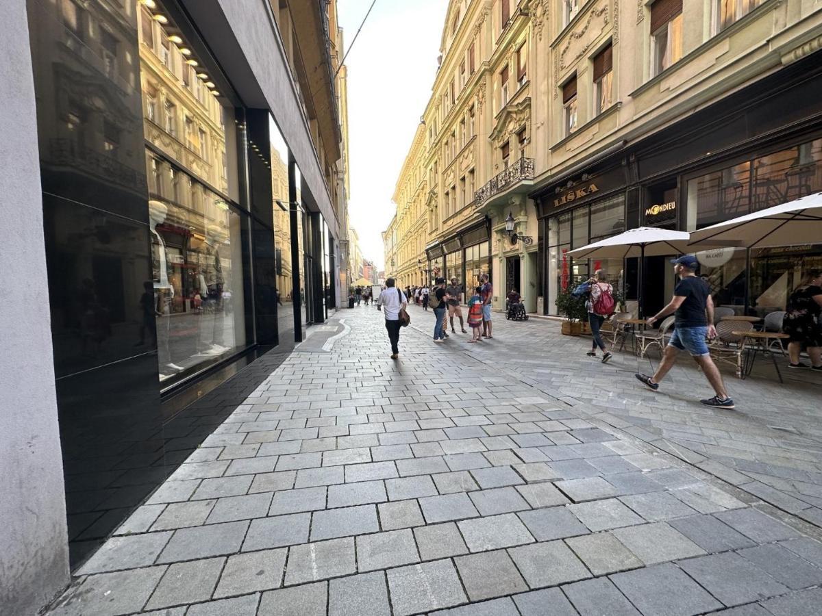 Gorkeho Apartment In City Centre Bratislava Exterior foto